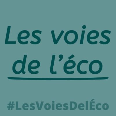 Logo Les voies de l’éco